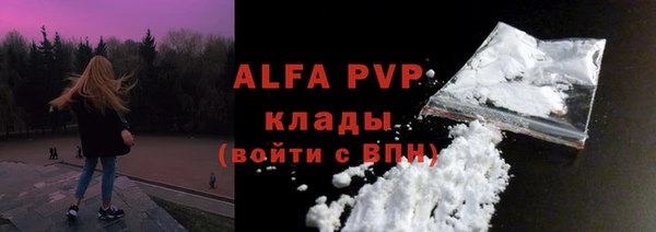 амф Верхний Тагил