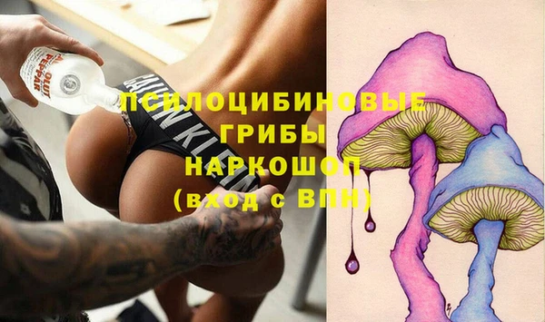 амф Верхний Тагил