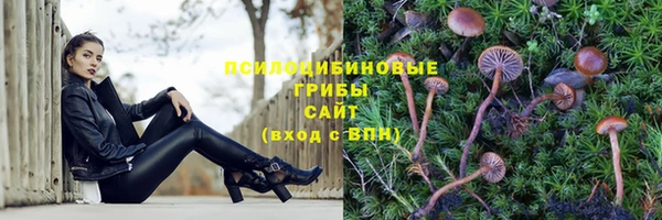 трава Богородицк
